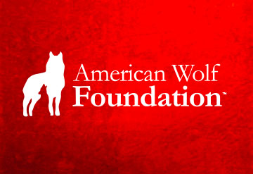 American Wolf logo